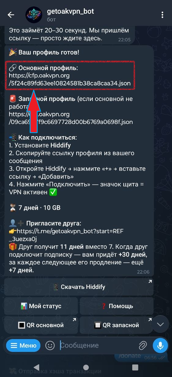 Бот выдаёт ссылку-подписку